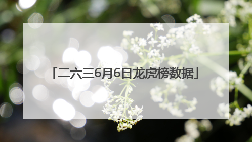 二六三6月6日龙虎榜数据