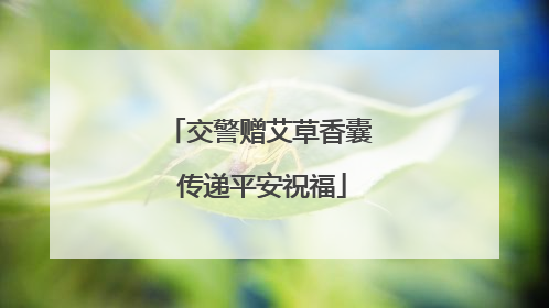 交警赠艾草香囊 传递平安祝福