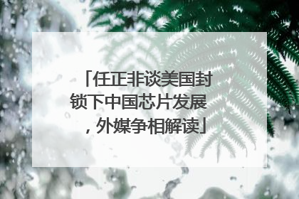 任正非谈美国封锁下中国芯片发展，外媒争相解读