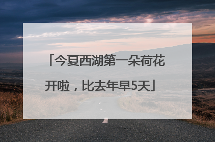 今夏西湖第一朵荷花开啦，比去年早5天