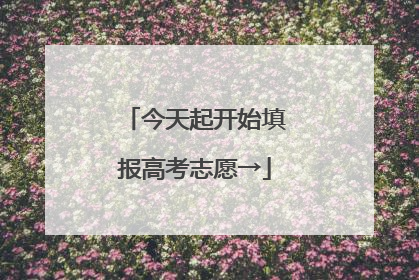 今天起开始填报高考志愿→