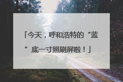 今天，呼和浩特的“蓝”底一寸照刷屏啦！