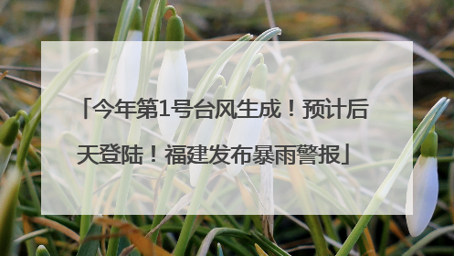 今年第1号台风生成！预计后天登陆！福建发布暴雨警报