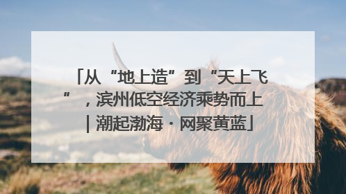 从“地上造”到“天上飞”，滨州低空经济乘势而上｜潮起渤海・网聚黄蓝