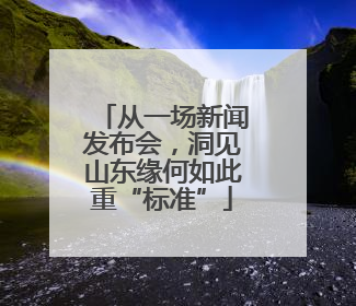 从一场新闻发布会，洞见山东缘何如此重“标准”