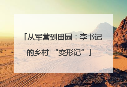 从军营到田园：李书记的乡村 “变形记”