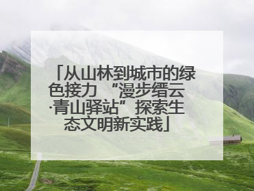 从山林到城市的绿色接力 “漫步缙云·青山驿站”探索生态文明新实践