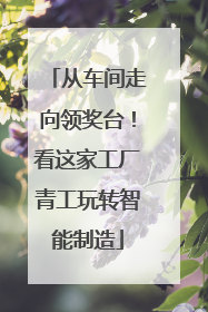 从车间走向领奖台！看这家工厂青工玩转智能制造