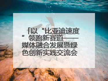 以“比亚迪速度”领跑新赛道——媒体融合发展暨绿色创新实践交流会首站走进比亚迪