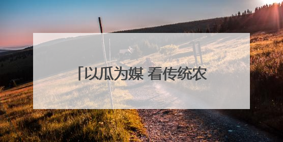 以瓜为媒 看传统农业大镇石莲子镇如何唱响乡村振兴协奏曲？