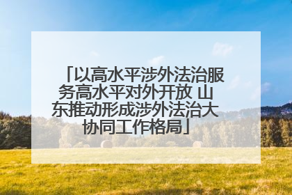 以高水平涉外法治服务高水平对外开放 山东推动形成涉外法治大协同工作格局