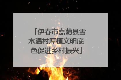 伊春市嘉荫县雪水温村厚植文明底色促进乡村振兴