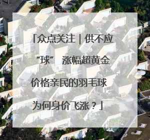 众点关注｜供不应“球” 涨幅超黄金 价格亲民的羽毛球为何身价飞涨？