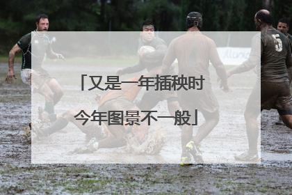 又是一年插秧时 今年图景不一般