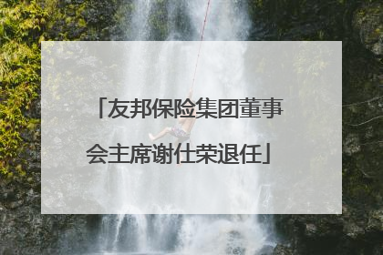 友邦保险集团董事会主席谢仕荣退任