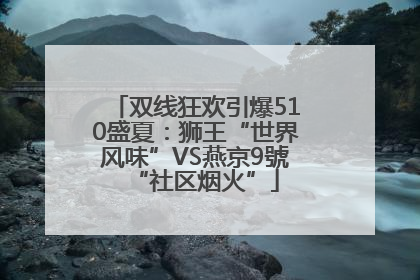 双线狂欢引爆510盛夏：狮王“世界风味”VS燕京9號“社区烟火”