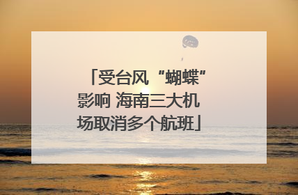 受台风“蝴蝶”影响 海南三大机场取消多个航班