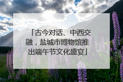 古今对话、中西交融，盐城市博物馆推出端午节文化盛宴
