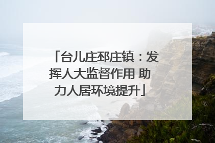 台儿庄邳庄镇：发挥人大监督作用 助力人居环境提升