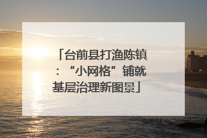 台前县打渔陈镇：“小网格”铺就基层治理新图景