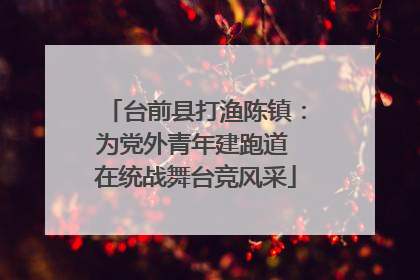 台前县打渔陈镇：为党外青年建跑道 在统战舞台竞风采