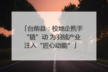 台前县：校地企携手“链”动 为羽绒产业注入“匠心动能”
