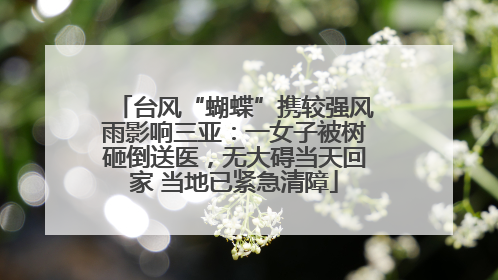台风“蝴蝶”携较强风雨影响三亚：一女子被树砸倒送医，无大碍当天回家 当地已紧急清障