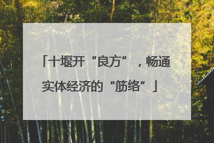 十堰开“良方”，畅通实体经济的“筋络”