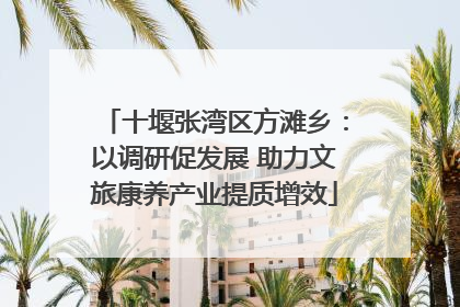 十堰张湾区方滩乡：以调研促发展 助力文旅康养产业提质增效