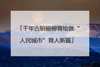 千年古镇杨柳青绘就“人民城市”育人新篇