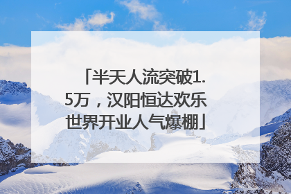 半天人流突破1.5万，汉阳恒达欢乐世界开业人气爆棚