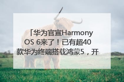 华为官宣HarmonyOS 6来了！已有超40款华为终端搭载鸿蒙5，开发者突破800万