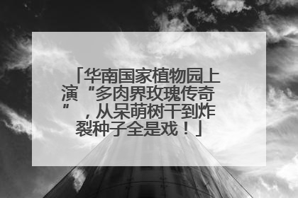 华南国家植物园上演“多肉界玫瑰传奇”，从呆萌树干到炸裂种子全是戏！