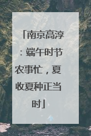 南京高淳：端午时节农事忙，夏收夏种正当时