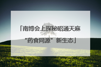 南博会上探秘昭通天麻“药食同源”新生态