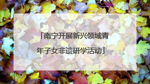南宁开展新兴领域青年子女非遗研学活动