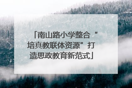 南山路小学整合“培真教联体资源”打造思政教育新范式