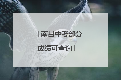 南昌中考部分成绩可查询