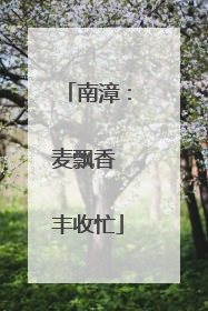 南漳：麦飘香 丰收忙