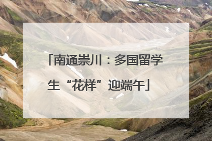 南通崇川：多国留学生“花样”迎端午