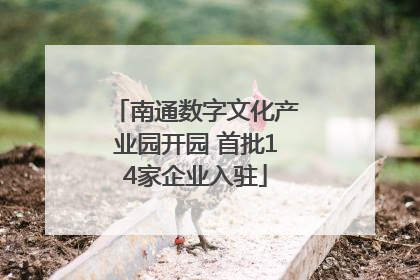 南通数字文化产业园开园 首批14家企业入驻