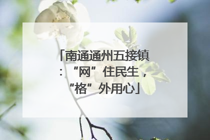 南通通州五接镇：“网”住民生，“格”外用心