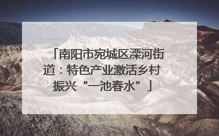 南阳市宛城区溧河街道：特色产业激活乡村振兴“一池春水”