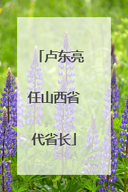 卢东亮任山西省代省长