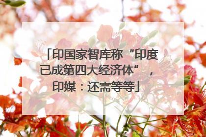 印国家智库称“印度已成第四大经济体”，印媒：还需等等