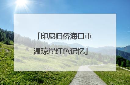 印尼归侨海口重温琼崖红色记忆