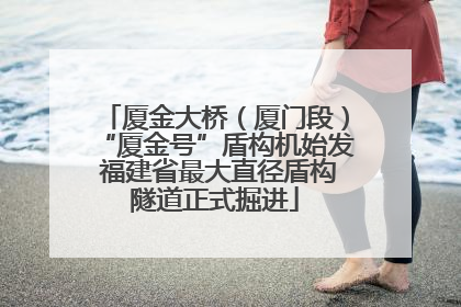 厦金大桥（厦门段）“厦金号”盾构机始发 福建省最大直径盾构隧道正式掘进