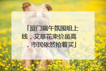 厦门端午氛围组上线，艾草花束价虽高，市民依然抢着买