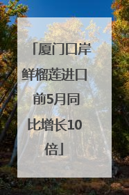 厦门口岸鲜榴莲进口 前5月同比增长10倍