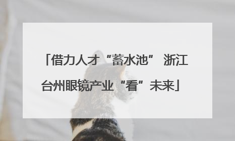 借力人才“蓄水池” 浙江台州眼镜产业“看”未来